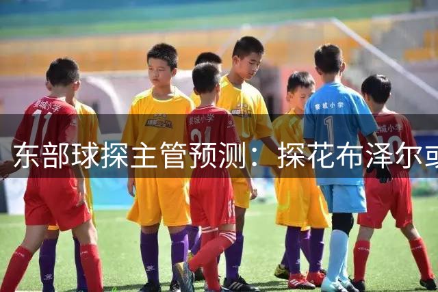 东部球探主管预测：探花布泽尔或成年度新秀